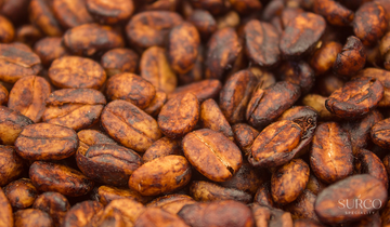 Qué es el café de especialidad en Chile